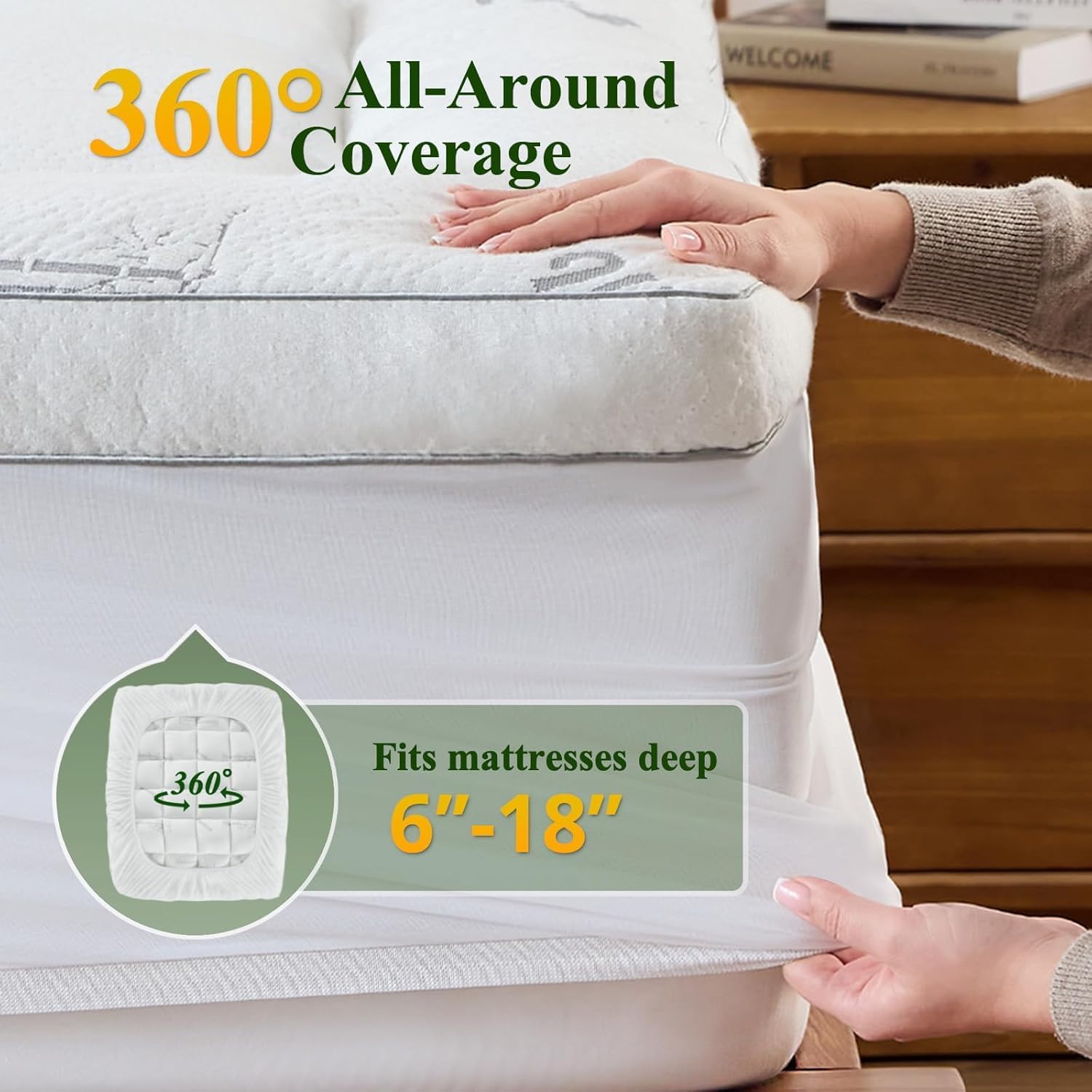 product-1500-1500 product-1500-1500
